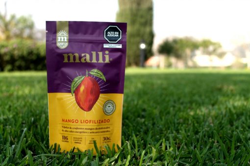 Mango Liofilizado, 30gr - Imagen 2